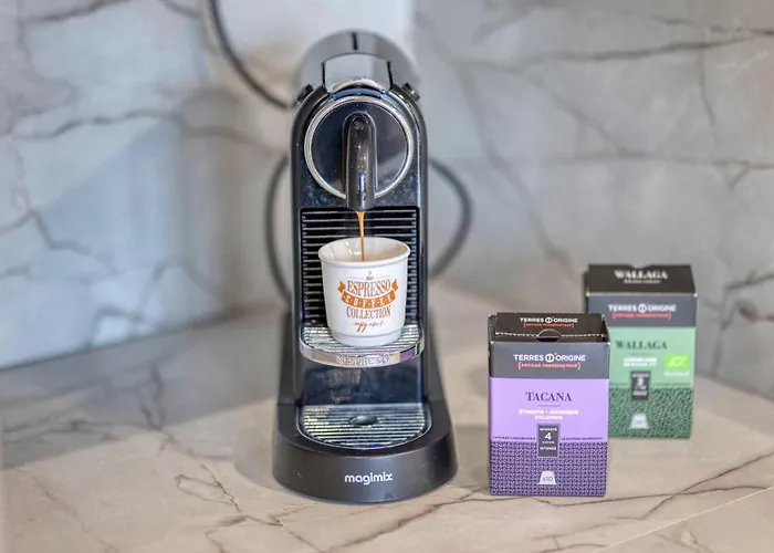 #he The Golden Escape Ile Verte Luminous Renovated Apartment Grenoble