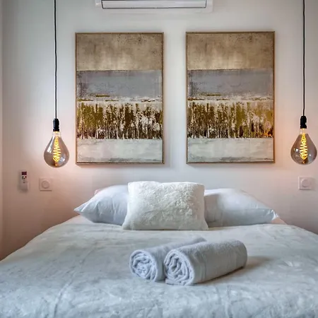 شقة #he The Golden Escape Ile Verte Luminous Renovated غرونوبل